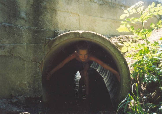 afbeelding46.jpg